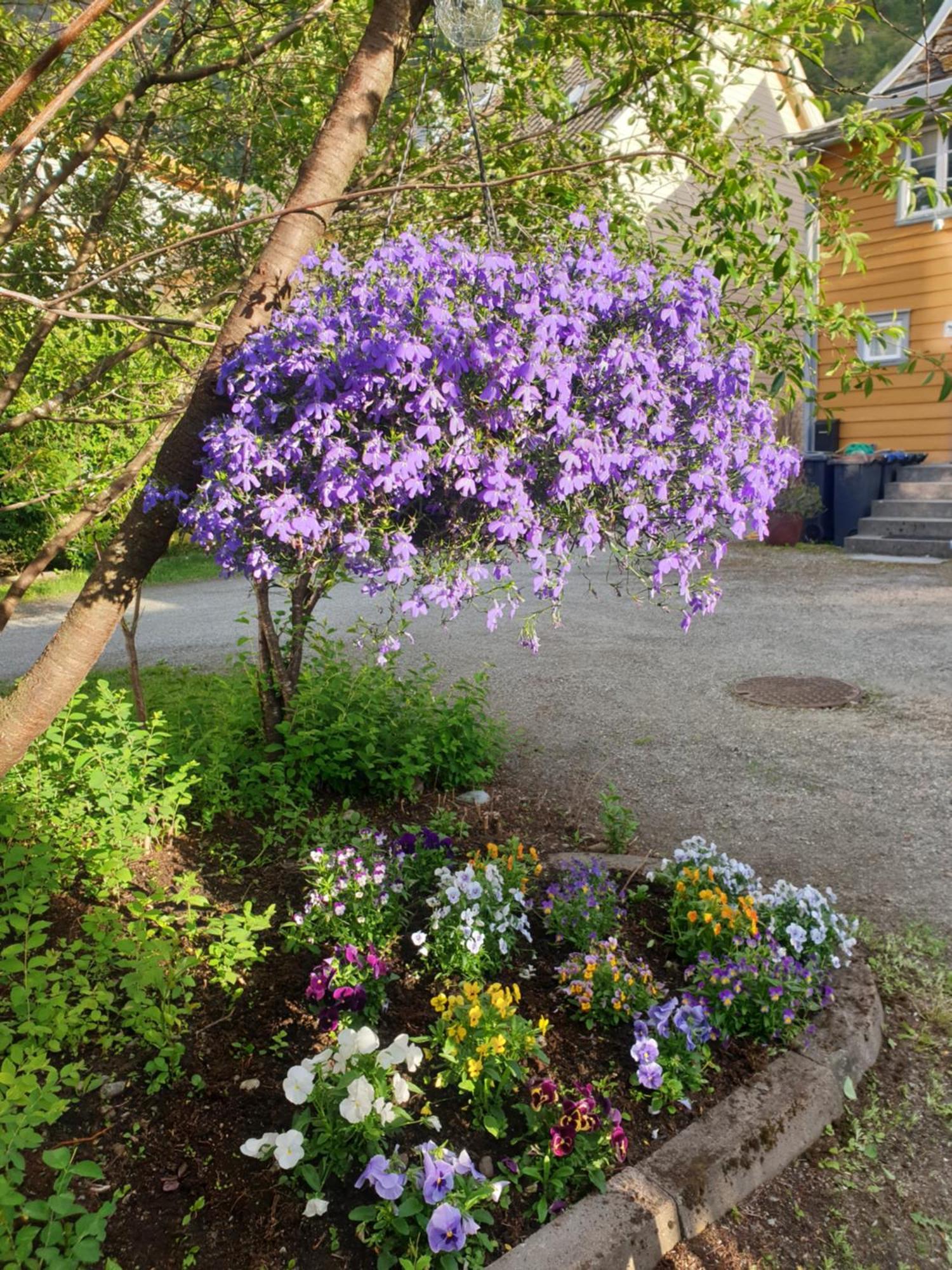 Kvammehuset Pa Gamle Laerdalsoyri Exterior foto