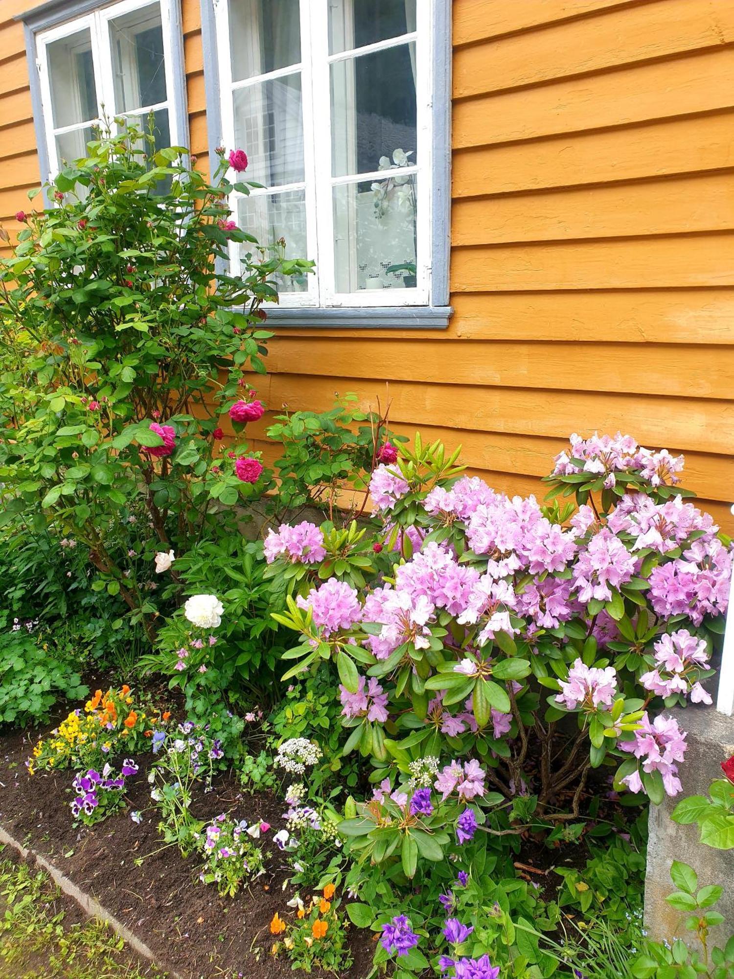 Kvammehuset Pa Gamle Laerdalsoyri Exterior foto